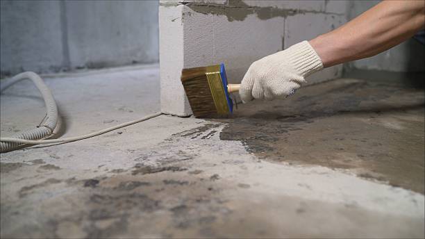 24/7 Emergency Basement Waterproofing experts in Willow Springs, IL